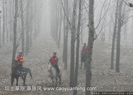 永定河賽馬