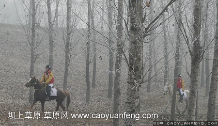 永定河賽馬