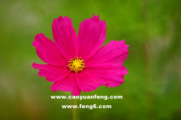 8月豐寧壩上風(fēng)景