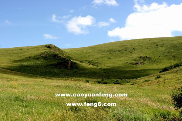 8月豐寧壩上風(fēng)景