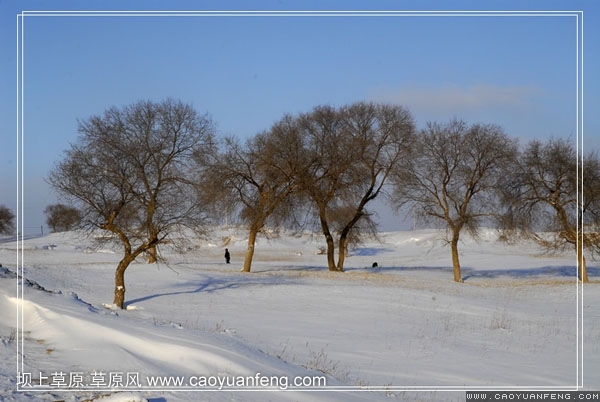 壩上冬季雪景