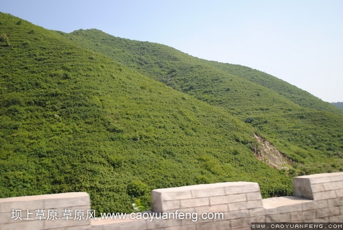 現(xiàn)代車友會 壩上旅游第一天