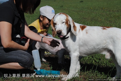 現(xiàn)代車友會(huì) 壩上旅游第二天