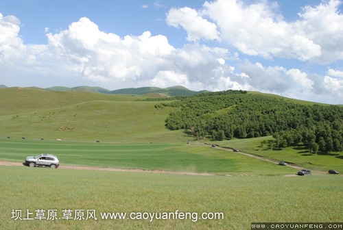 現(xiàn)代車友會(huì) 壩上旅游第二天