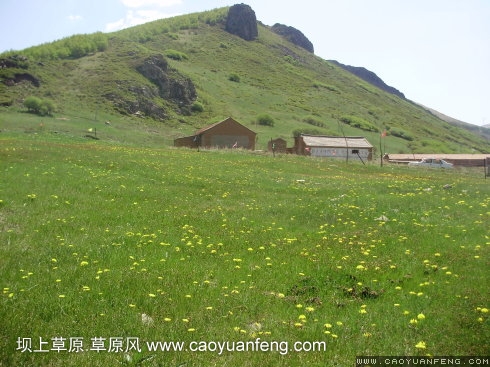 端午節(jié)之豐寧壩上