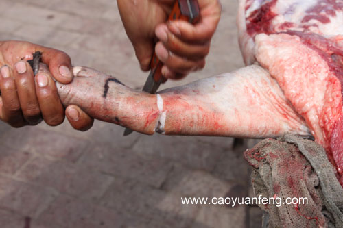 農(nóng)家院殺豬全過程