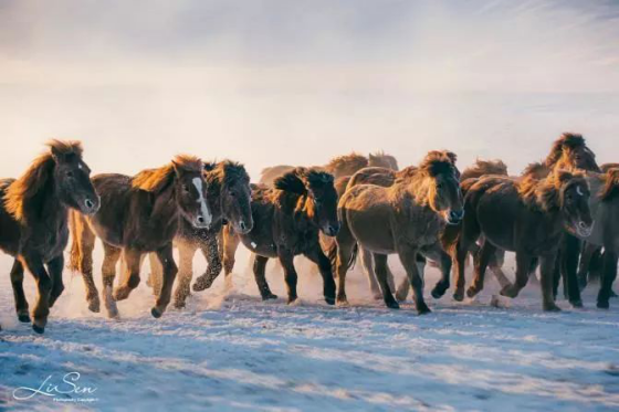 壩上雪域星空冬日攝影