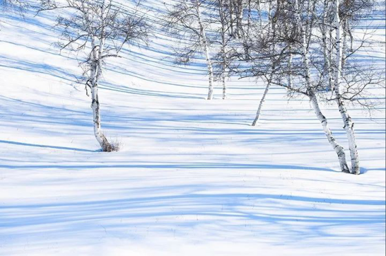 壩上雪域星空冬日攝影