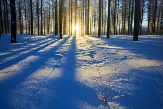 壩上雪域星空冬日攝影