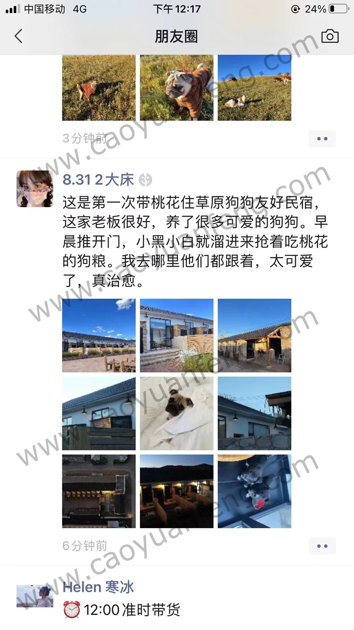 2022部分游客評價截圖 感謝對豐寧壩上遠山別院大力支持