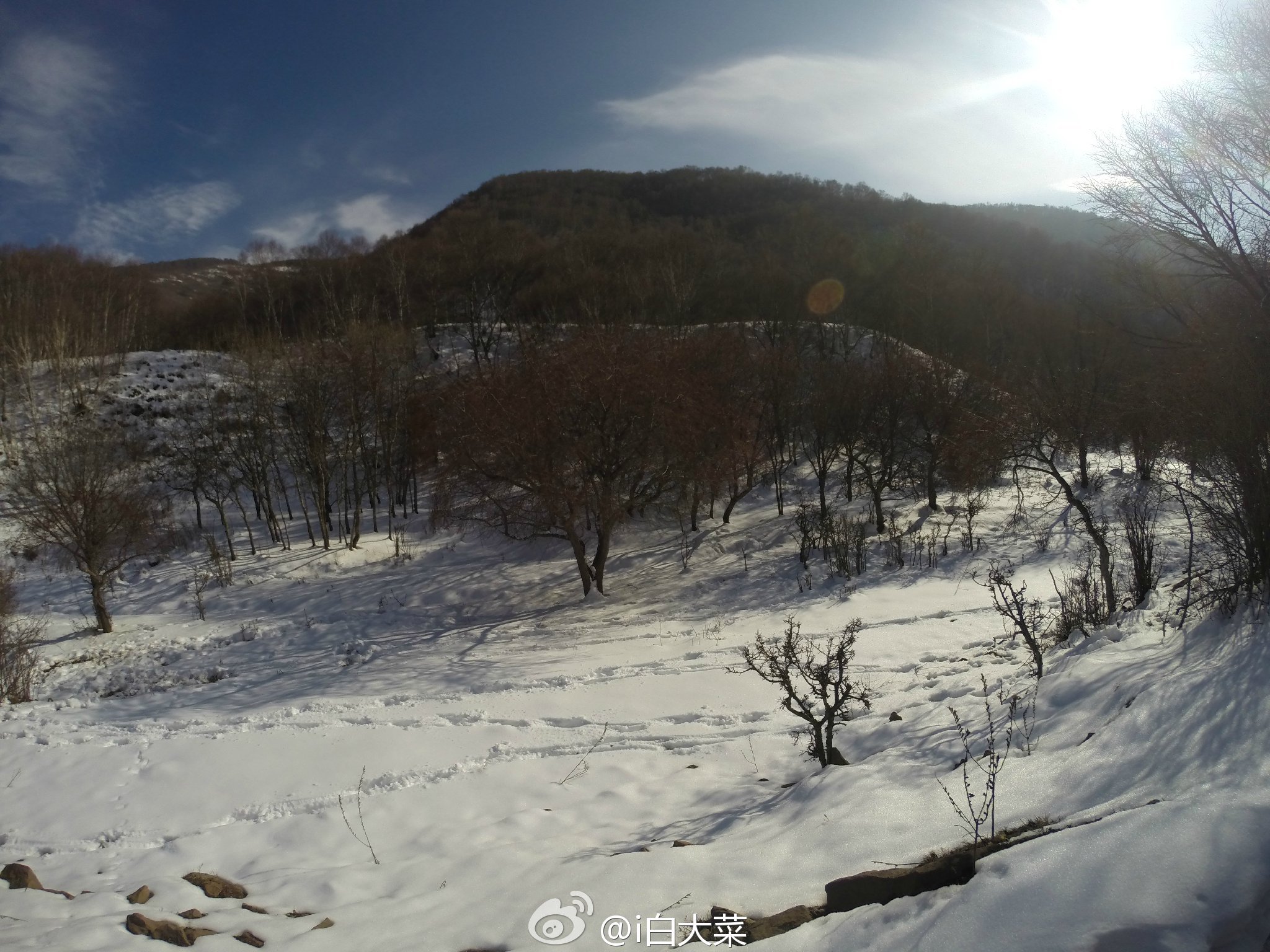 冬日老掌溝玩雪越野之旅 精華攻略