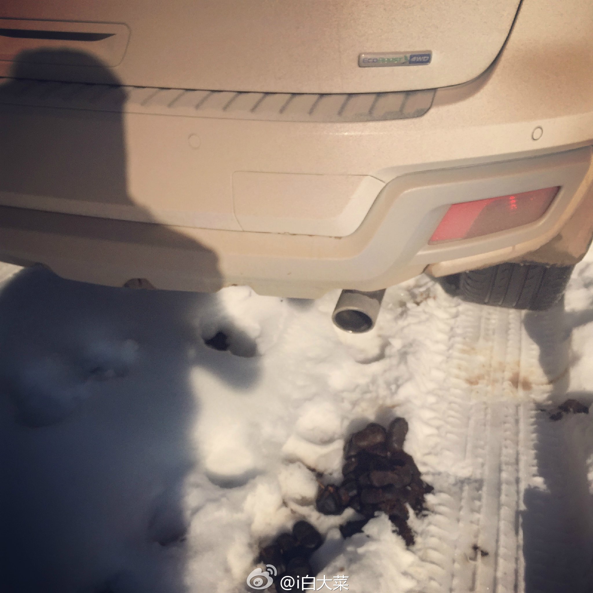 冬日老掌溝玩雪越野之旅 精華攻略