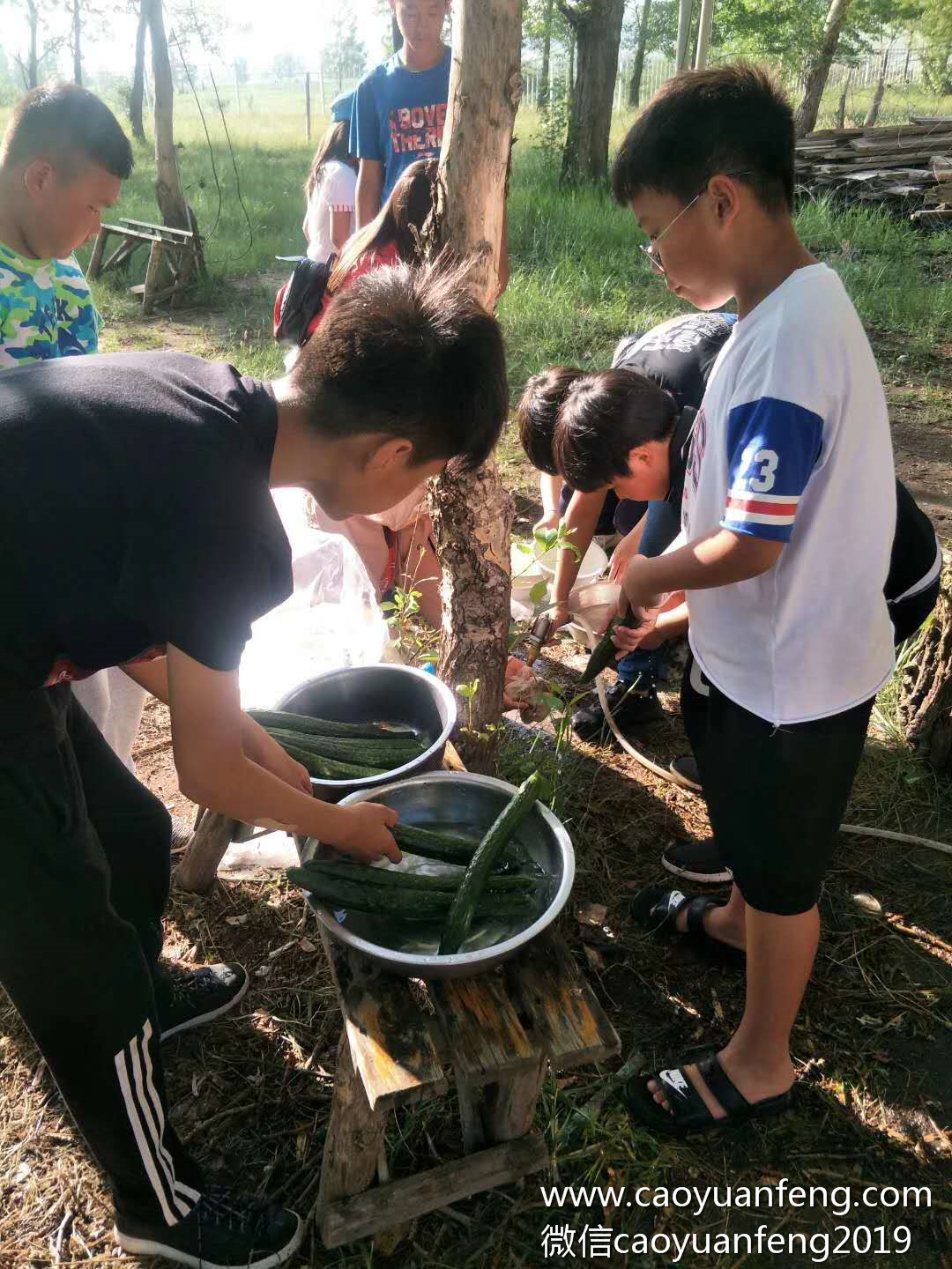 固安90印象創(chuàng)意美術草原夏令營