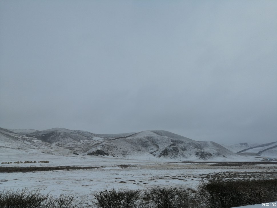 大通D90壩上越野 大灘賞雪景