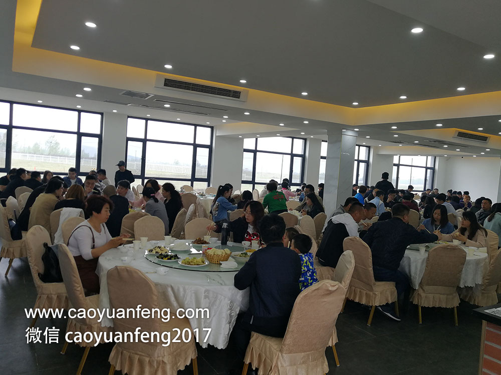 容金投資200人壩上公司團(tuán)建三日游