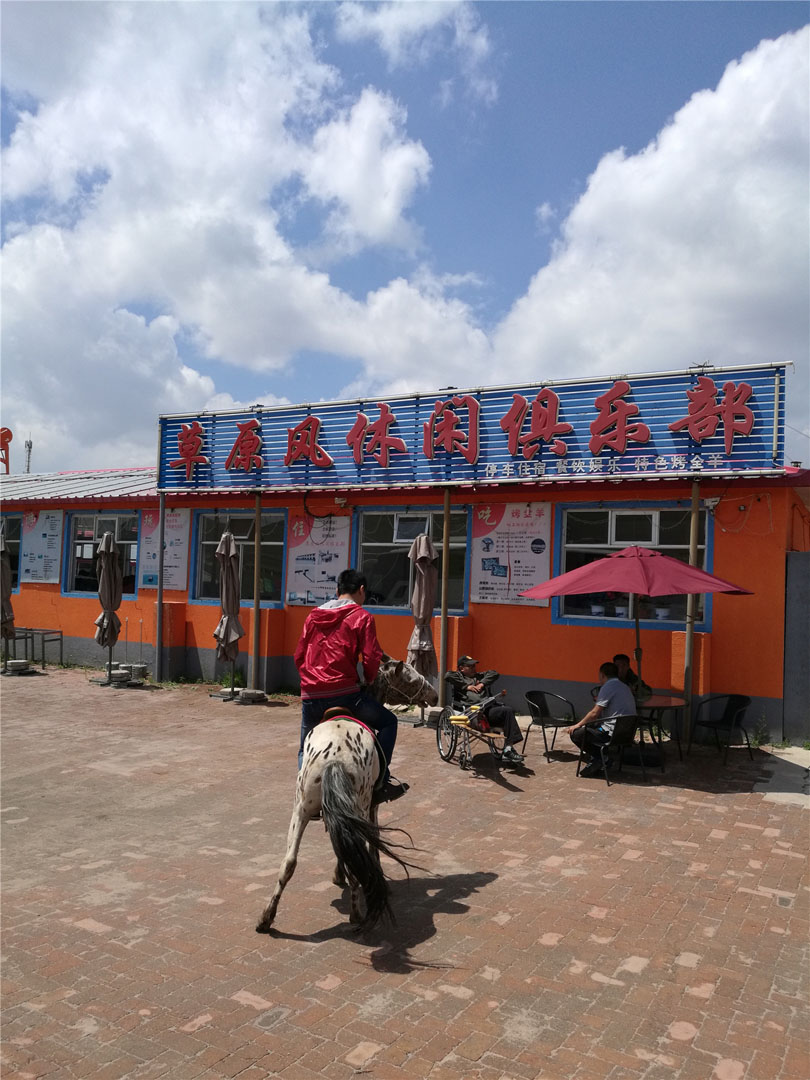 壩上小矮馬