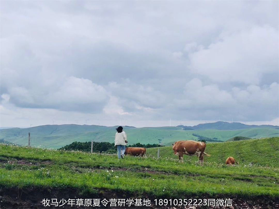 愛特教育壩上草原軍事研學(xué)夏令營
