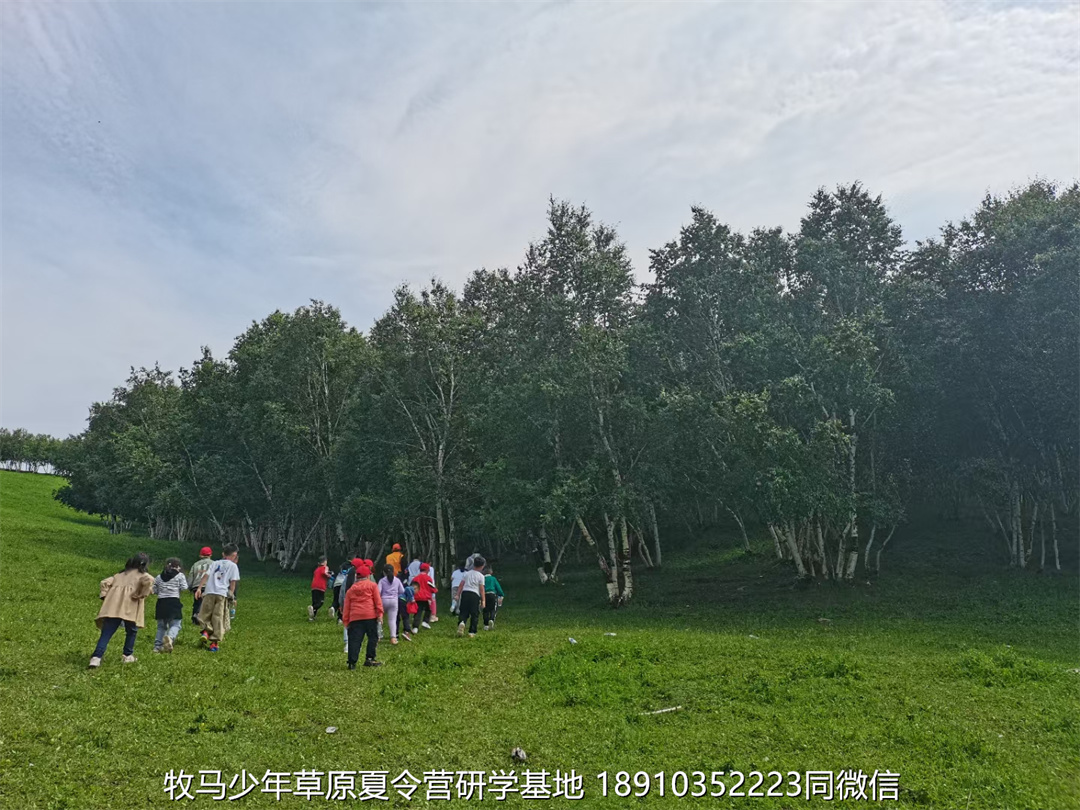 愛特教育壩上草原軍事研學(xué)夏令營