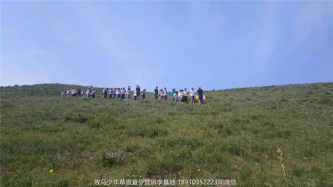 河南鄭州草原小安達(dá)研學(xué)夏令營(yíng)