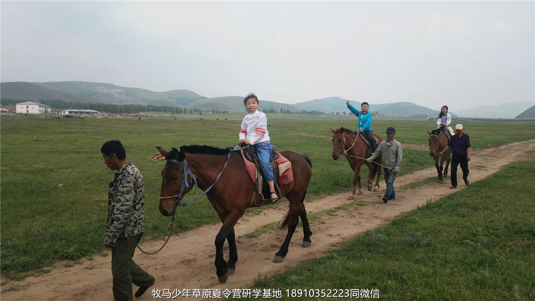 河南鄭州草原小安達(dá)研學(xué)夏令營(yíng)