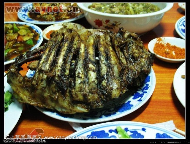 搜狐安陽(yáng)車(chē)友會(huì)7月豐寧壩上草原行