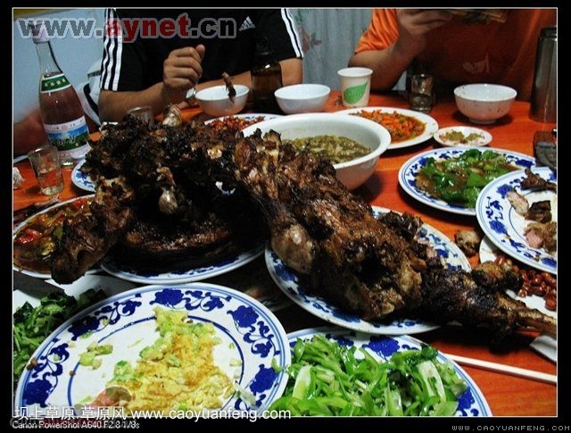 搜狐安陽(yáng)車(chē)友會(huì)7月豐寧壩上草原行