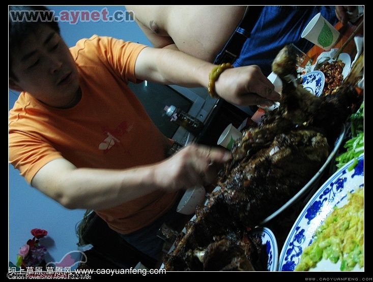 搜狐安陽(yáng)車(chē)友會(huì)7月豐寧壩上草原行