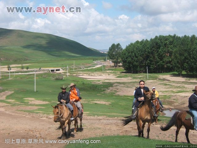 搜狐安陽(yáng)車(chē)友會(huì)7月豐寧壩上草原行