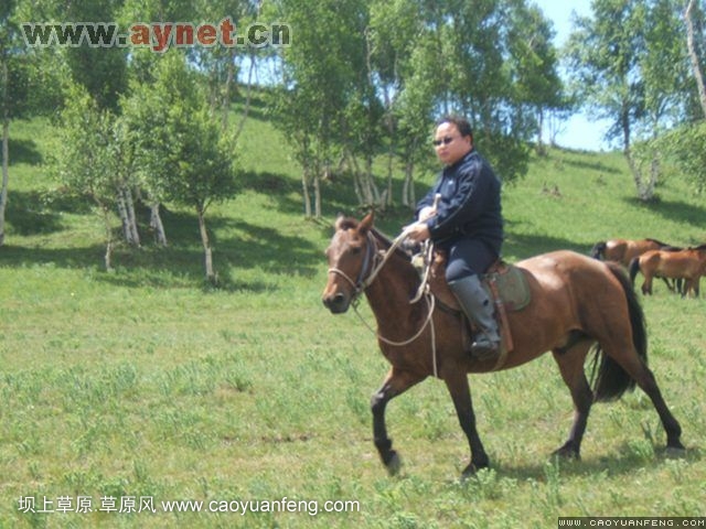 搜狐安陽(yáng)車(chē)友會(huì)7月豐寧壩上草原行