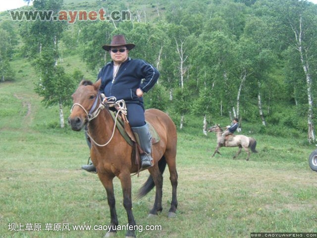 搜狐安陽(yáng)車(chē)友會(huì)7月豐寧壩上草原行