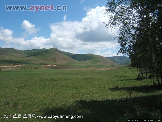 搜狐安陽(yáng)車(chē)友會(huì)7月豐寧壩上草原行