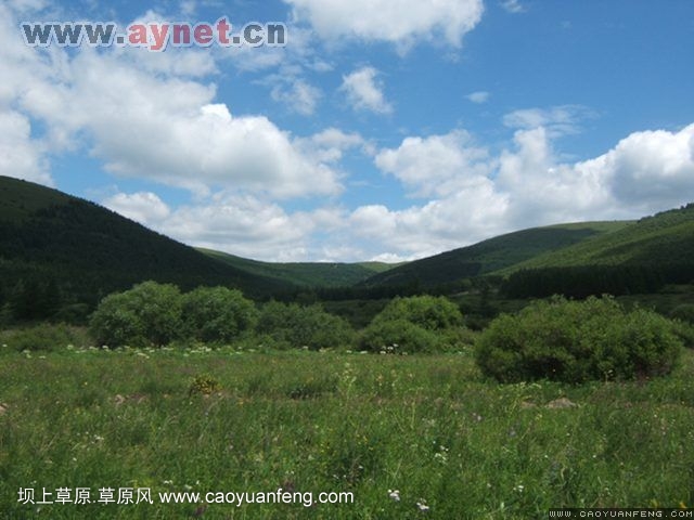 搜狐安陽(yáng)車(chē)友會(huì)7月豐寧壩上草原行
