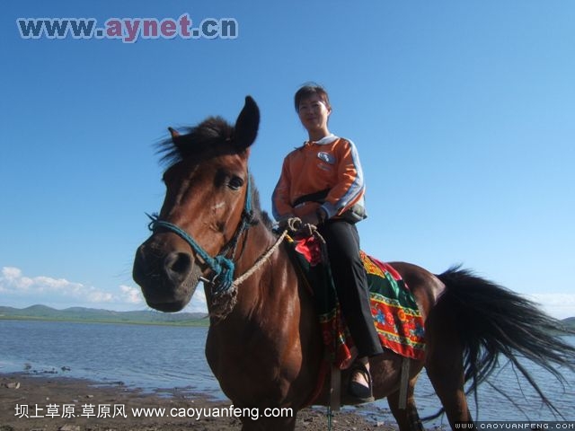 搜狐安陽(yáng)車(chē)友會(huì)7月豐寧壩上草原行