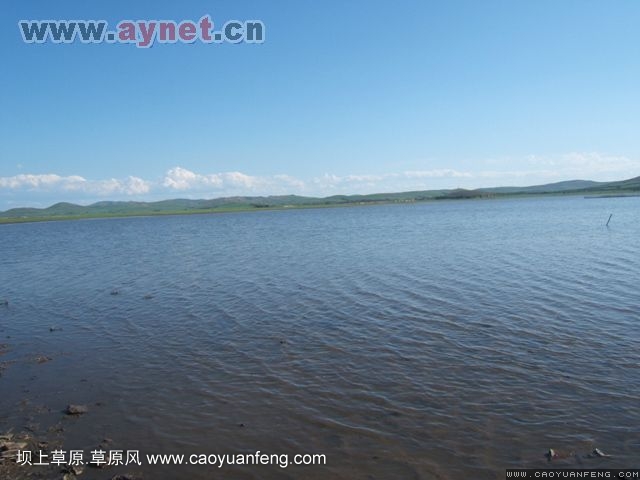 搜狐安陽(yáng)車(chē)友會(huì)7月豐寧壩上草原行