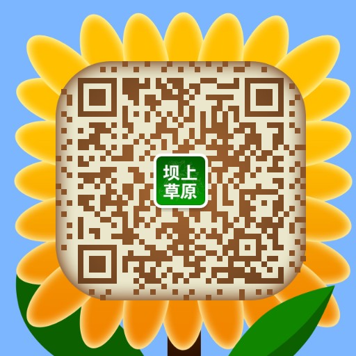 豐寧壩上.中國馬鎮(zhèn)冰火節(jié)