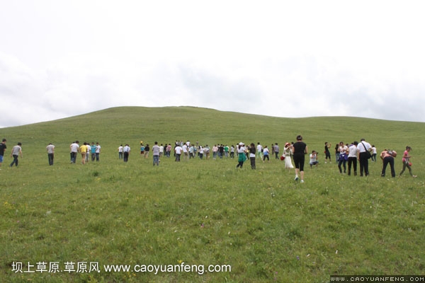 長城汽車豐寧壩上旅游