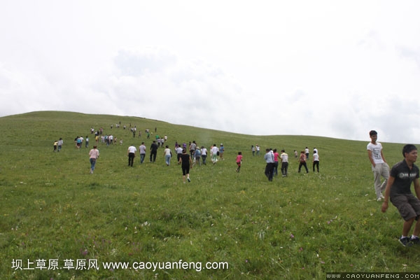 長城汽車豐寧壩上旅游