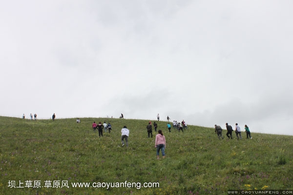 長城汽車豐寧壩上旅游