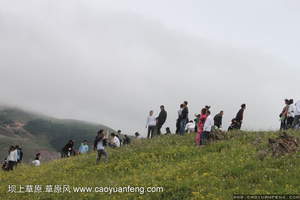 長城汽車豐寧壩上旅游