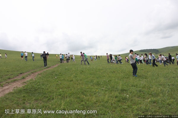 長城汽車豐寧壩上旅游
