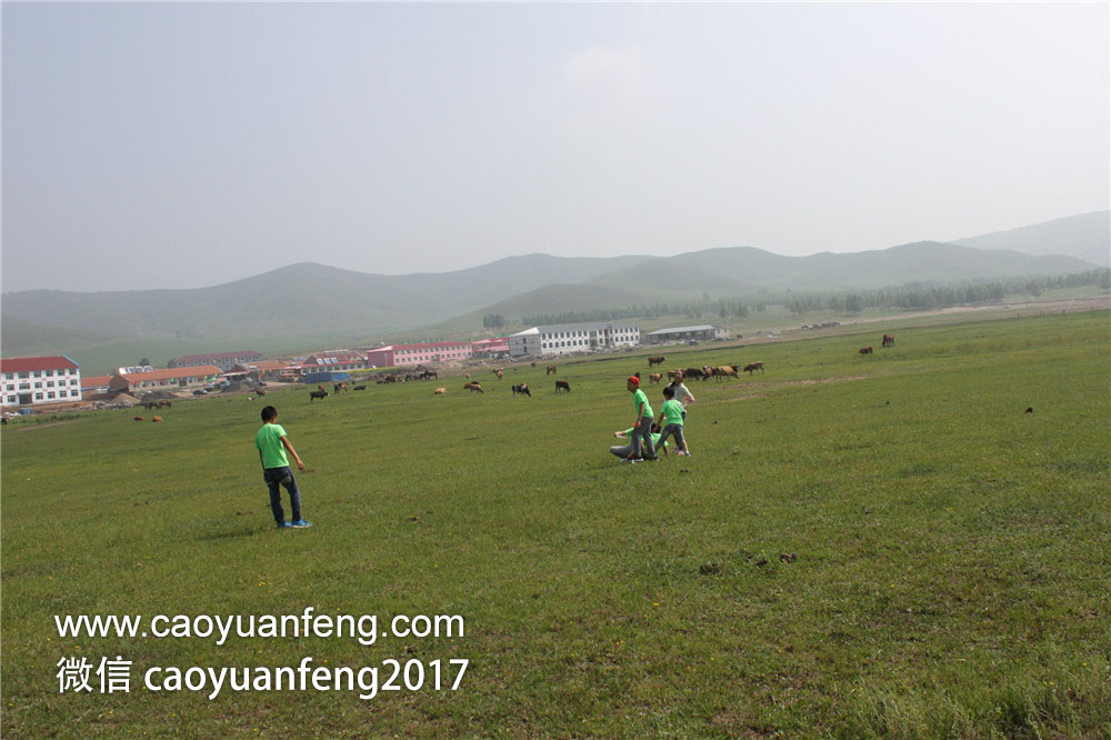 鄭州城市寶貝精英少年 草原夏令營