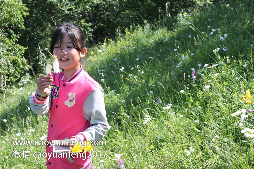 鄭州城市寶貝精英少年 草原夏令營