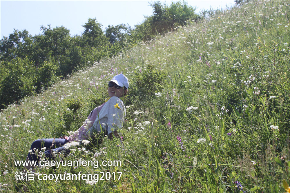 鄭州城市寶貝精英少年 草原夏令營