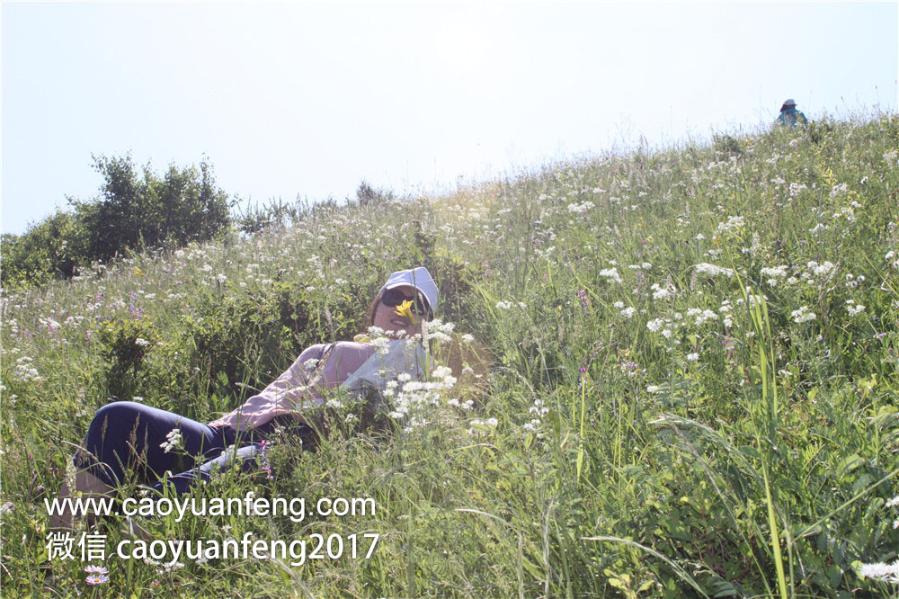 鄭州城市寶貝精英少年 草原夏令營