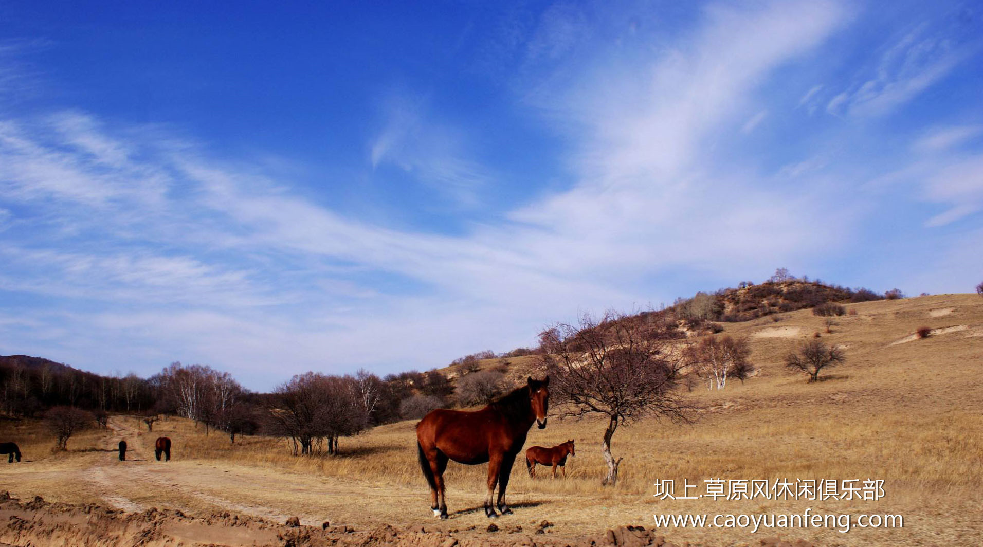 壩上風(fēng)光美景之春季攝影