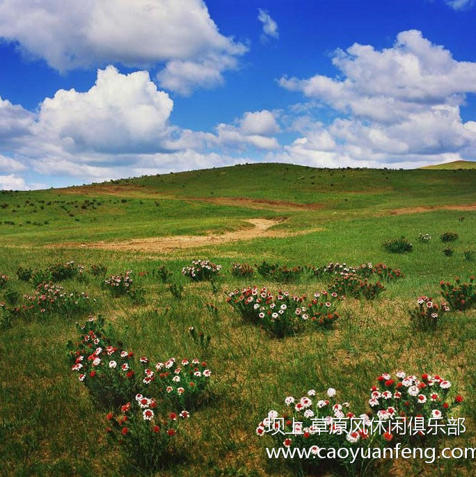 壩上風(fēng)光美景之春季攝影