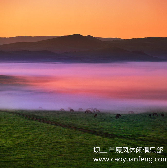 壩上風(fēng)光美景之春季攝影