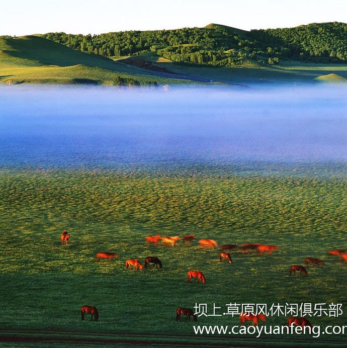 壩上風(fēng)光美景之春季攝影