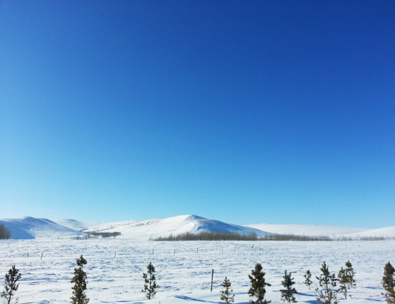 豐寧壩上草原雪景篇
