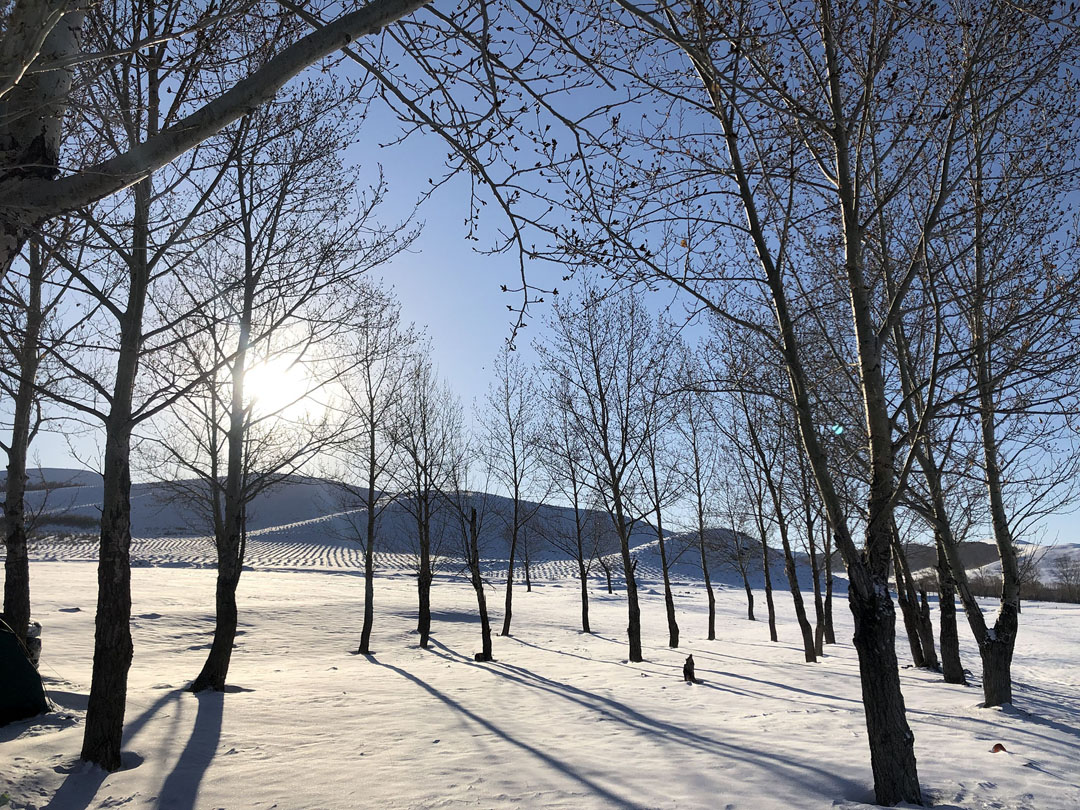 壩上冬季野外雪地扎營